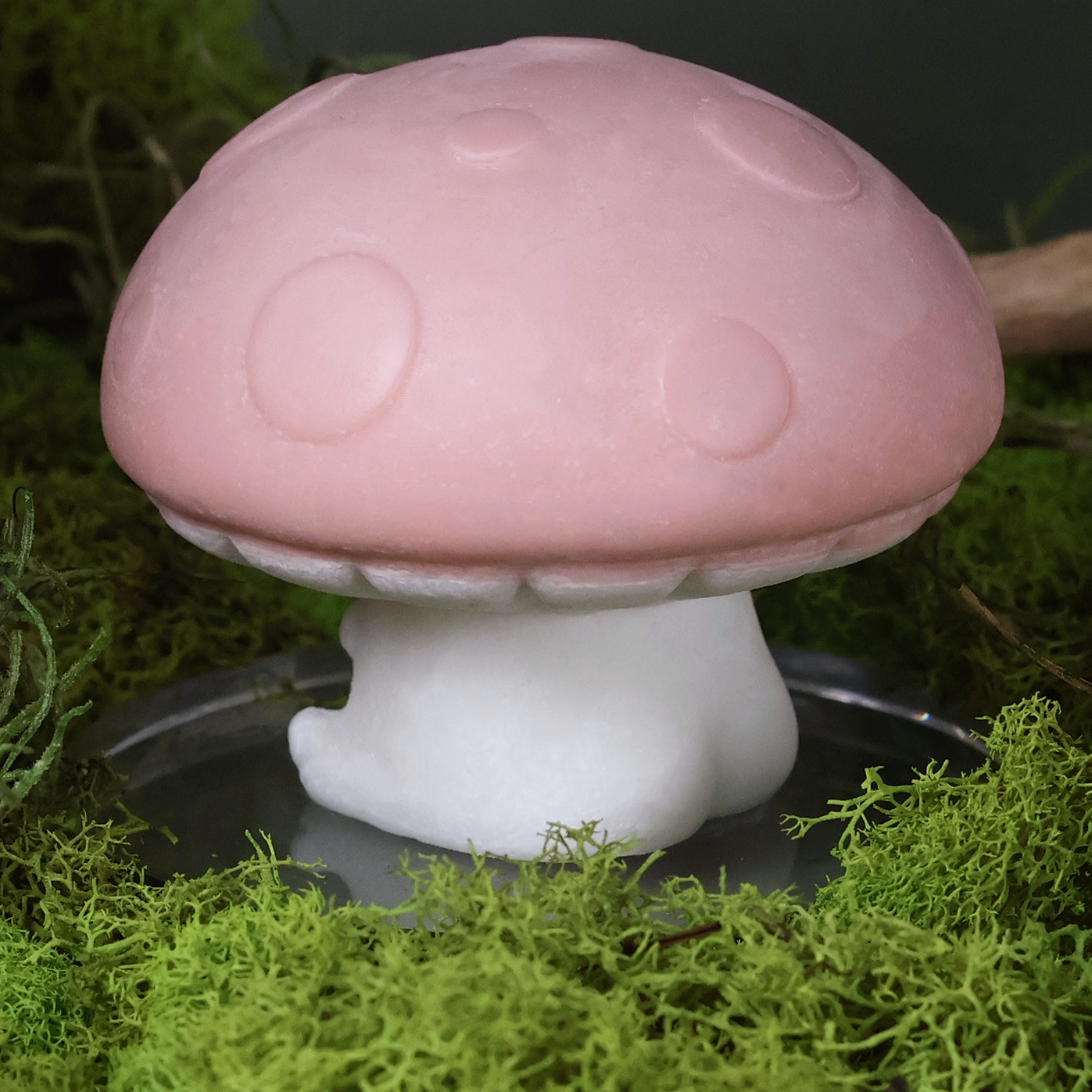 Nourishing Mushroom Shampoo