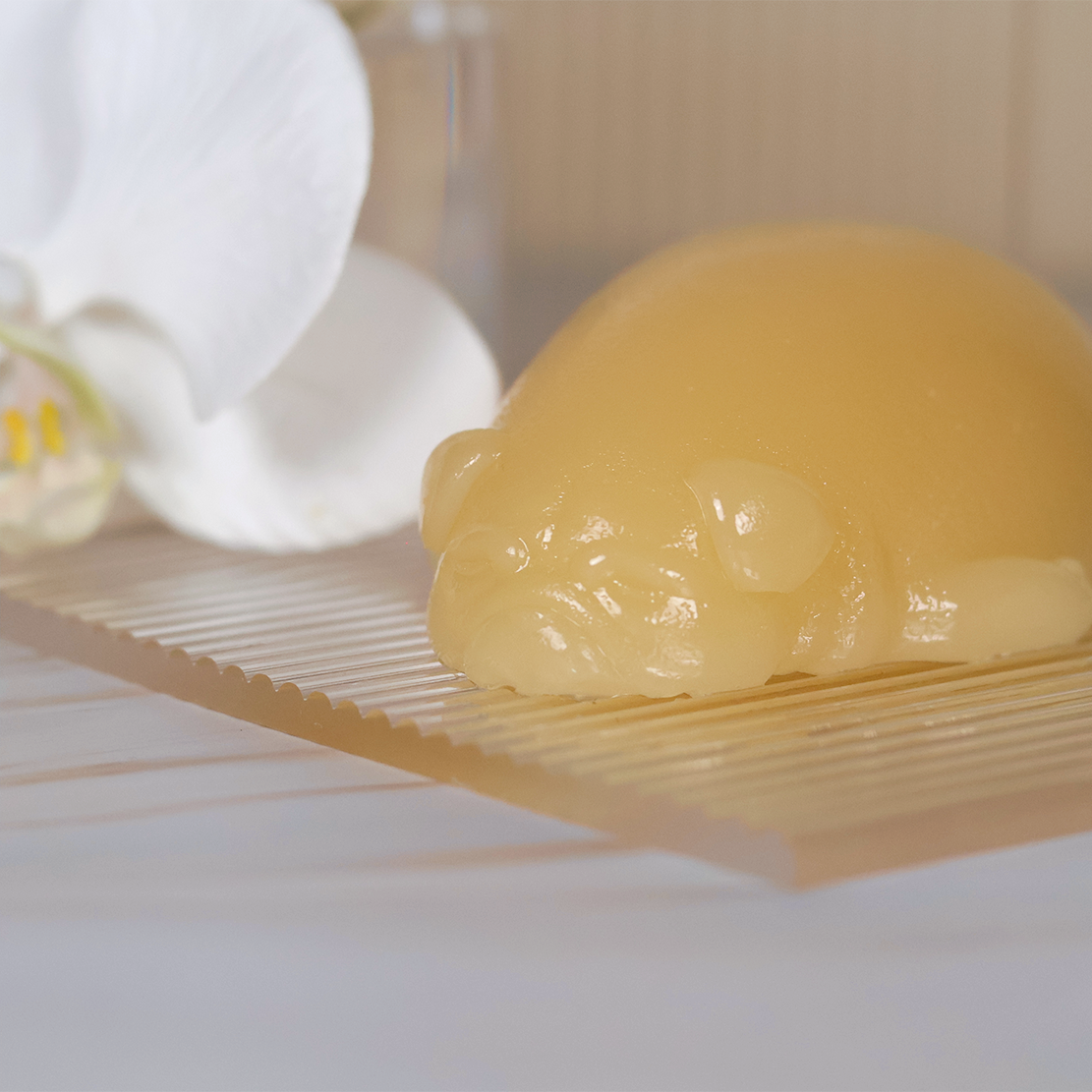 Vanilla Pug Jelly Soap