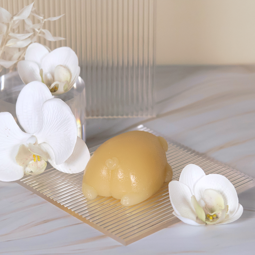 Vanilla Pug Jelly Soap