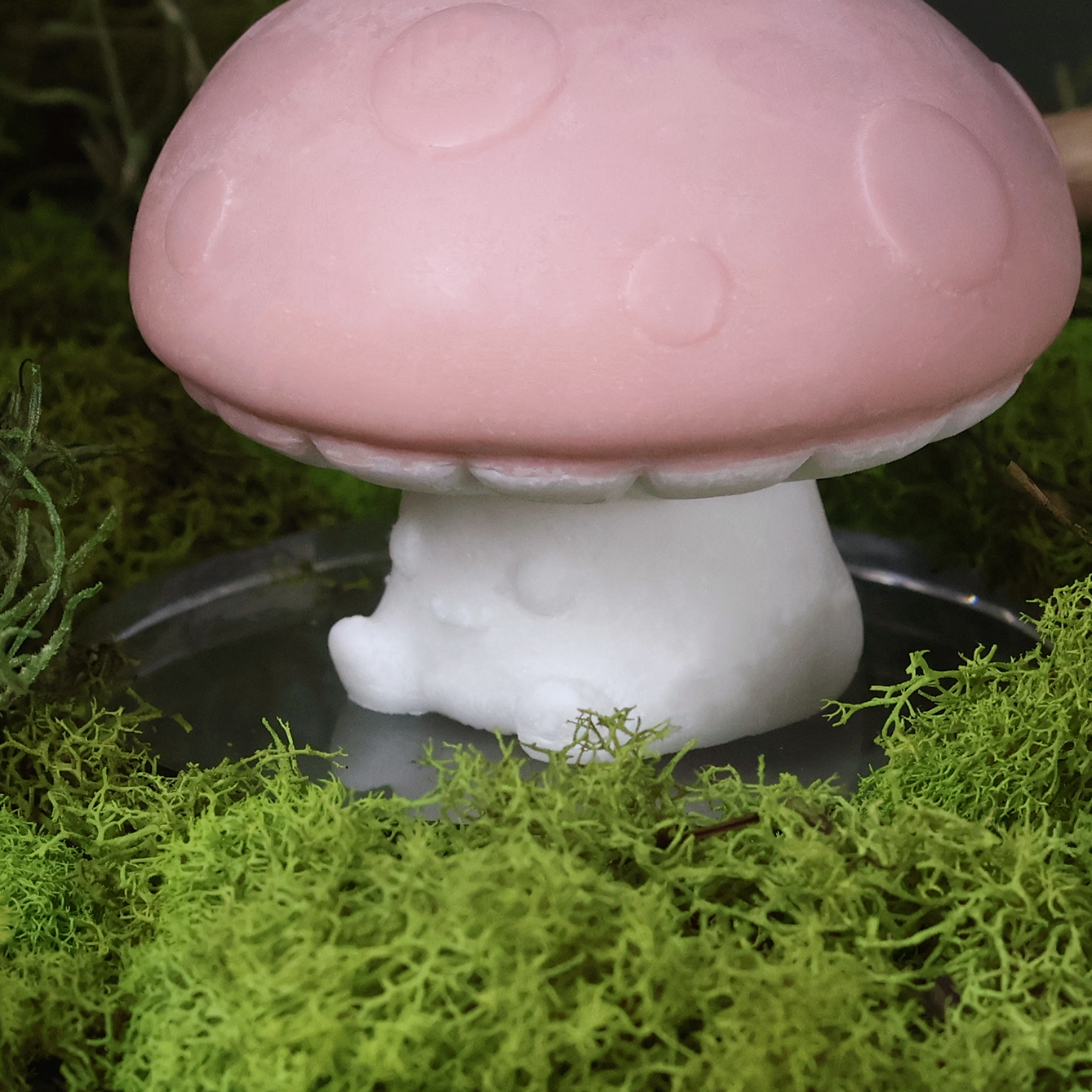 Nourishing Mushroom Shampoo