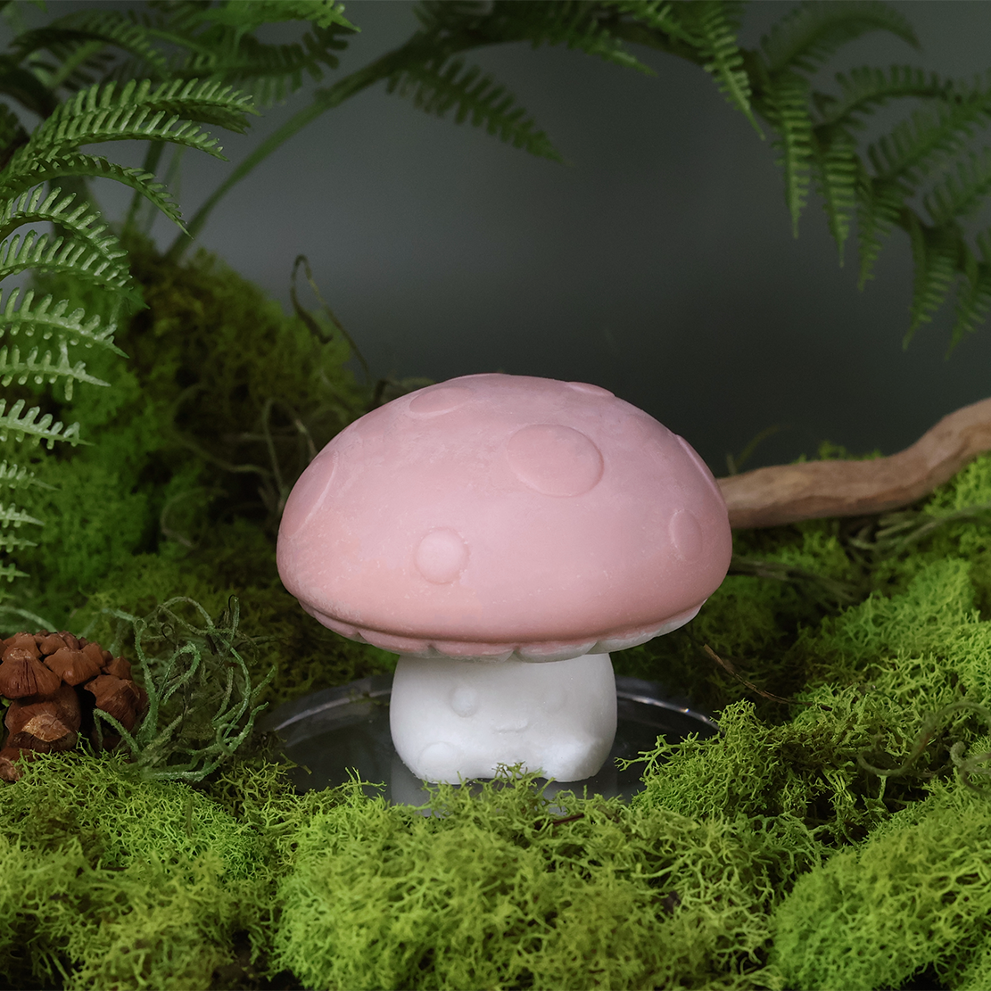 Nourishing Mushroom Shampoo