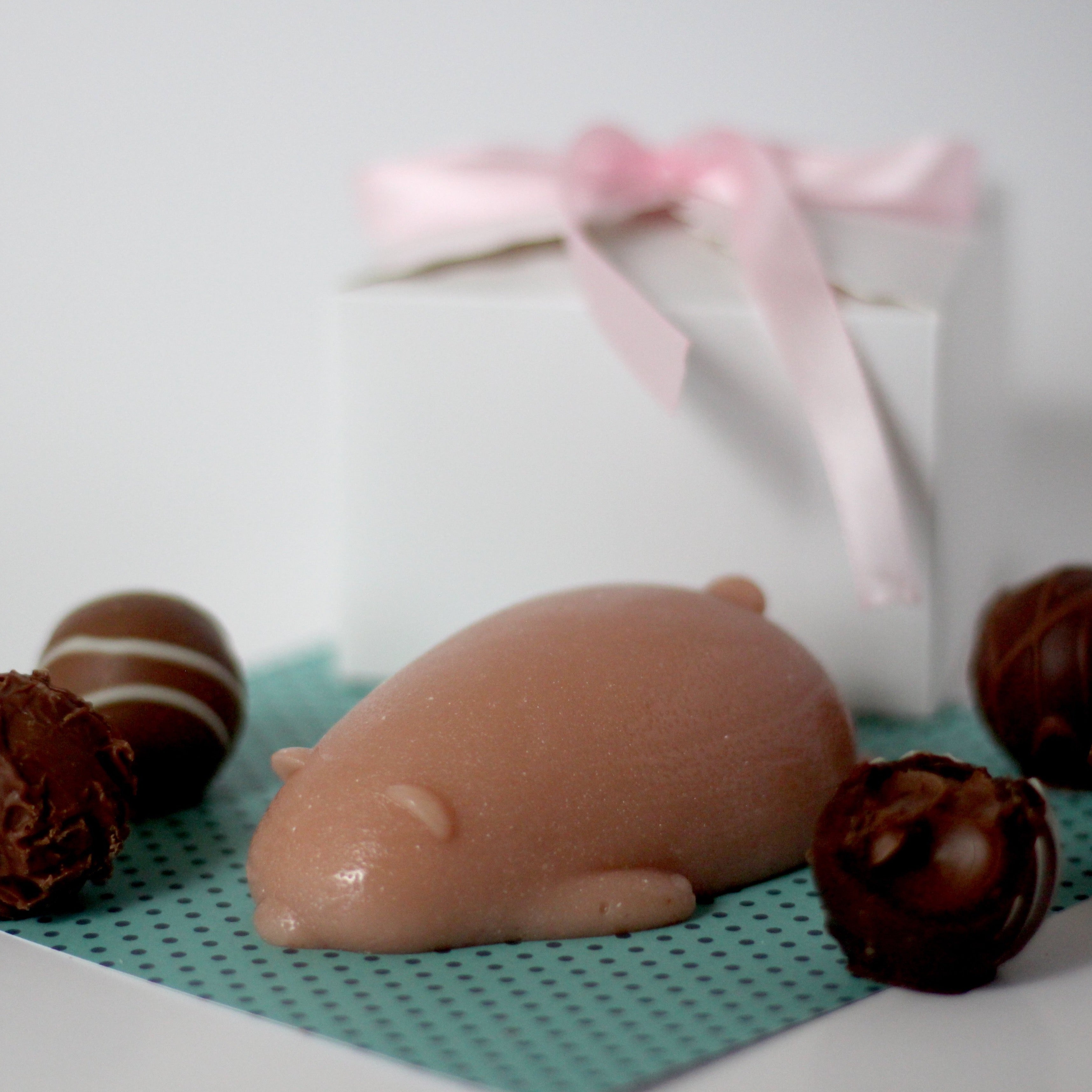 Chocolate Bear Jelly Soap - Frolic Creations - Soap - Cute Self Care - Kawaii Atheistic - Quirky Gift - Gift For Her