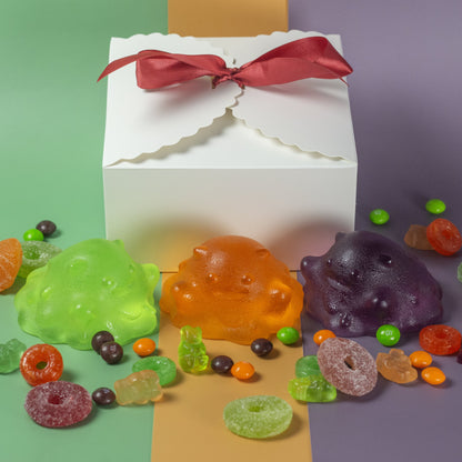 Slime Gift Box - Frolic Creations - Gift Set - Cute Self Care - Kawaii Atheistic - Quirky Gift - Gift For Her