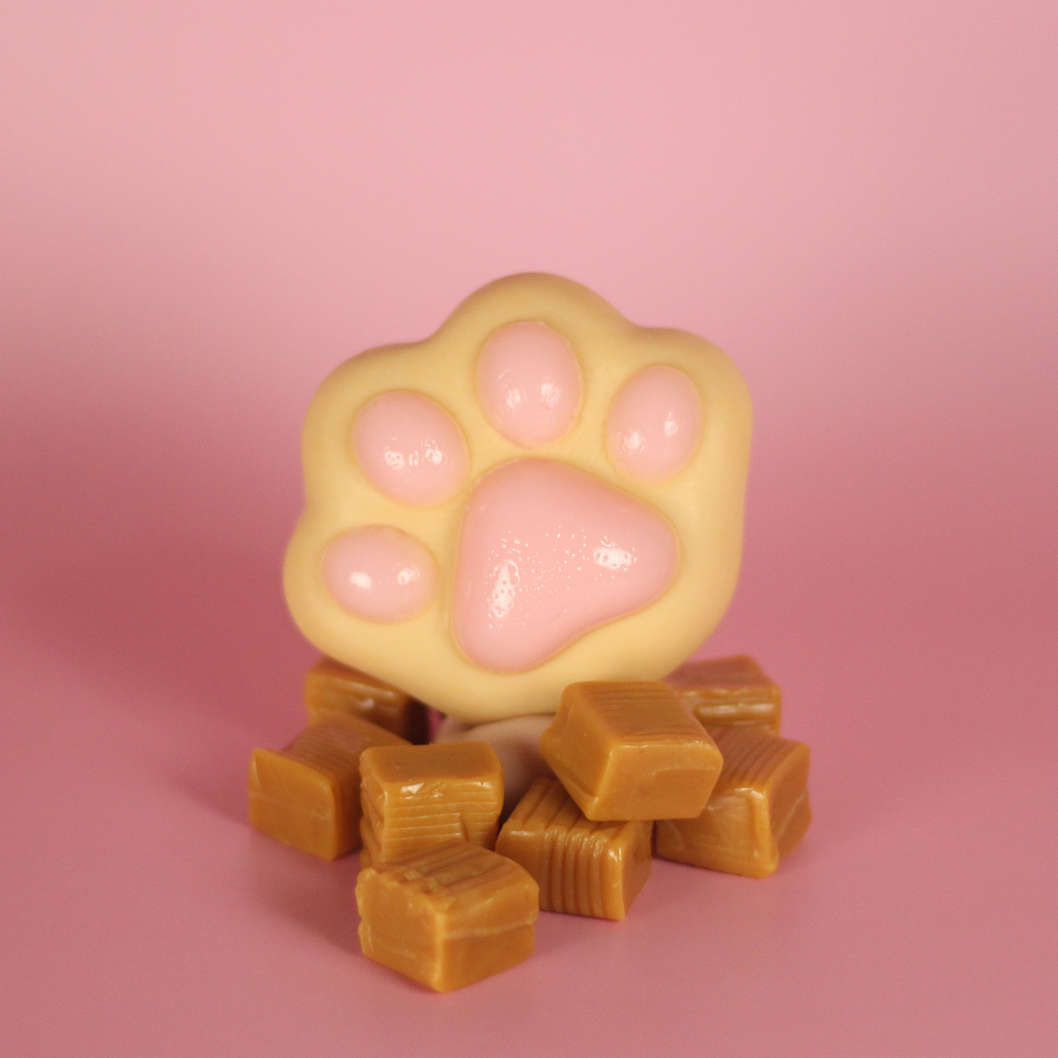 The Only Paws Gift Box - Frolic Creations - Soap - Cute Self Care - Kawaii Atheistic - Quirky Gift - Gift For Her